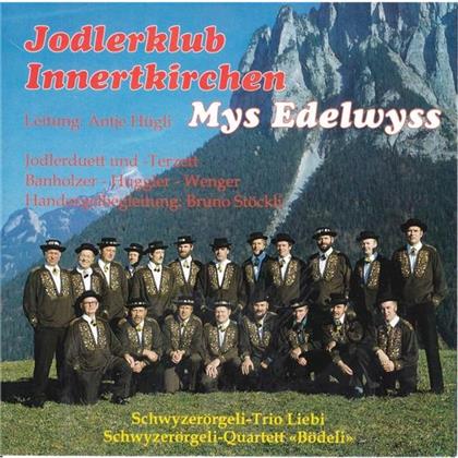 Jodlerklub Innertkirchen - Mys Edelwyss