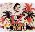 Israel Kamakawiwo'ole - What A Wonderful World