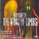 Radiohead - King Of Limbs (Japan Edition)
