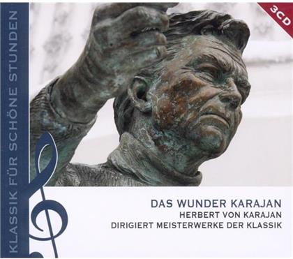 Herbert von Karajan - Das Wunder Karajan (3 CDs)