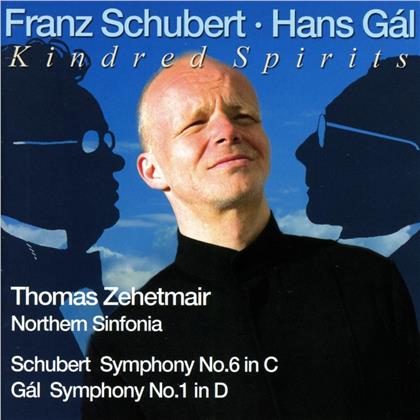 Zehetmair Thomas / Northern Sinfonia & Hans Gál (1890-1987) - Sinfonie Nr1