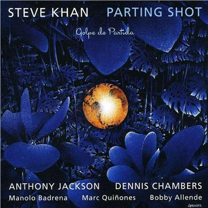 Steve Khan - Parting Shot