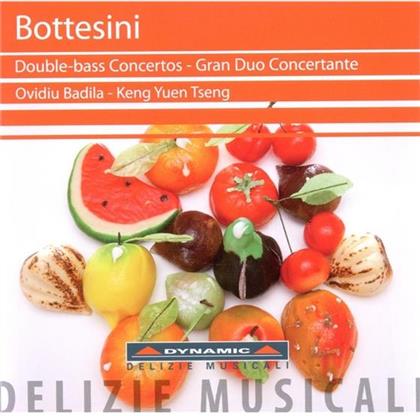 Ovidiu Badila & Bottesini/ Tschaikowsky - Kontrabass Konzerte
