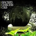 Joe Fiedler - Sacred Chrome Orb