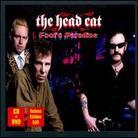Head Cat (Lemmy/Slim Jim Phantom/Harvey) - Fool's Paradise (Deluxe Edition, 2 CDs)