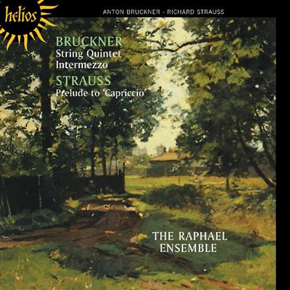 The Raphael Ensemble & Bruckner Anton/Strauss Richard - String Quintet/ Capriccio Sext