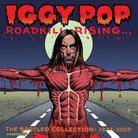 Iggy Pop - Roadkill Risingbootleg (4 CDs)