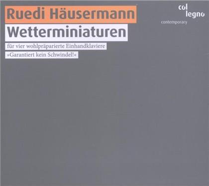 Ruedi Häusermann & Ruedi Häusermann - Wetterminiaturen