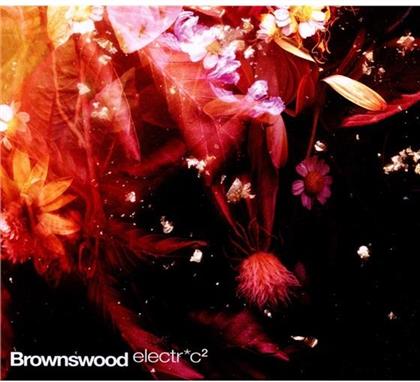 Gilles Peterson - Brownswood Electric 2