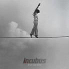 Incubus - If Not Now, When? (Japan Edition)