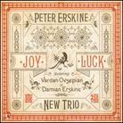 Peter Erskine - Joy Luck