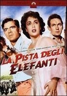 La pista degli elefanti (1954)