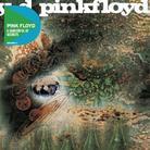Pink Floyd - A Saucerful Of - Discovery (Remastered)