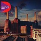 Pink Floyd - Animals - Discovery (Japan Edition, Remastered)