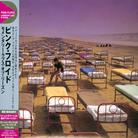 Pink Floyd - A Momentary Lapse (Discovery Edition, Remastered)