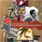 Antonio Carlos Jobim - Warm World Of