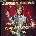Jürgen Drews - Wenn Die Wunderkerzen Brennen