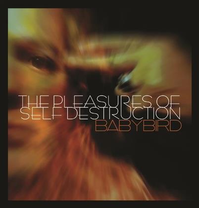 Babybird - Pleasure Of Self