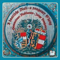 Hammerauer Musikanten - A Boarische Musi-A Pongau