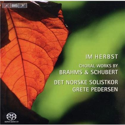 Det Norske Solistkor & Brahms/Schubert - Chorwerke