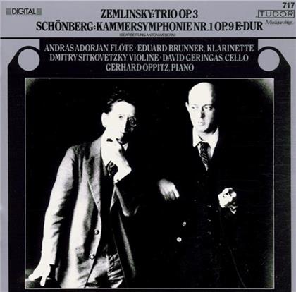 Gerhard Oppitz & Zemlinsky / Schönberg - Trio Op.3 / Kammersinfonie Nr. 1