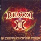 Biloxi - In The Wake Of The Storm