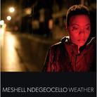 Me'shell Ndegeocello - Weather