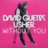 David Guetta - Without You - Feat. Usher (2Track)
