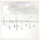 Taylor Deupree - In A Place Of Such Graceful Shapes + 7"