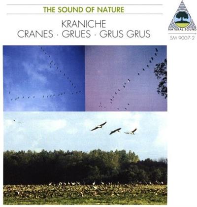 Walter Tilgner - Kraniche