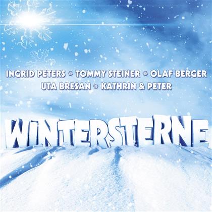 Wintersterne - Various
