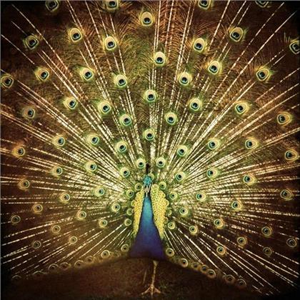 Ani Difranco - Which Side Are You On