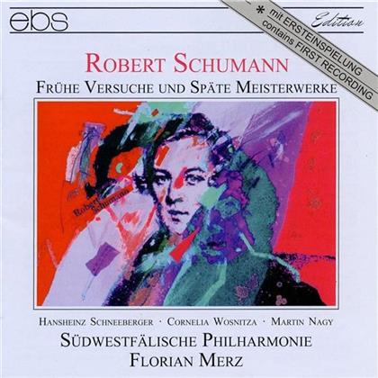 Hansheinz Schneeberger & Robert Schumann (1810-1856) - Fantasie Op131, Ouvertuere Zu