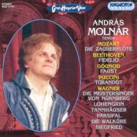 Andras Molnar & Mozart / Beethoven/Gounod/Puccini/Wagner - Great Hungarian Voices