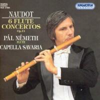 Pal Nemeth & Jacques-Christophe Naudot - Konzert Fuer Floete (6)