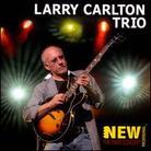 Larry Carlton - Paris Concert