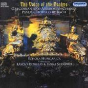 Schola Hungarica & --- - Voice Of The Psalms Gregorian