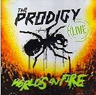 The Prodigy - Live - World's On Fire (CD + DVD)