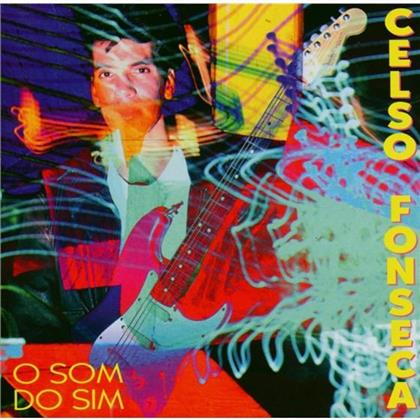 Celso Fonseca - O Som Do Sim