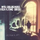 Noel Gallagher (Oasis) & High Flying Birds - If I Had A Gun