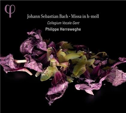 Collegium Vocale Gent, Dorothee Mields, Damien Guillon, Hana Blazikova, … - Messe Bwv232 In H-Moll (2 CDs)