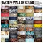 Magic Of Oto-Kabe - Various - Wall Of Sound