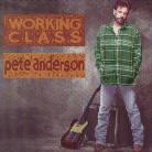 Pete Anderson - Working Class
