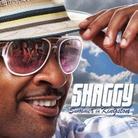Shaggy - Summer In Kingston