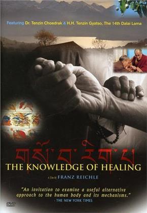 The knowledge of healing (2013)