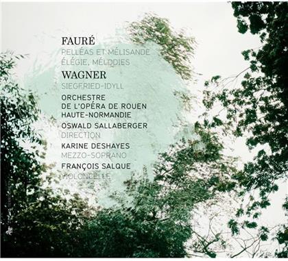 Deshayes Karine / Salque Francois & Gabriel Fauré (1845-1924) - Elegie, Melodies, Pelleas & Melisande Su
