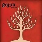 Gojira - Link - Limited Edition + Pick