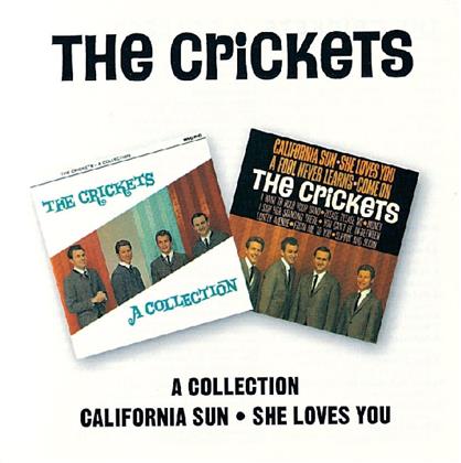 Crickets - A Collection