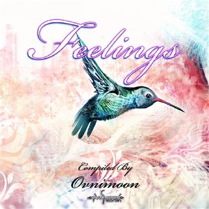 Feelings