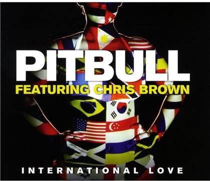 Pitbull Feat. Chris Brown - International Love - 2Track